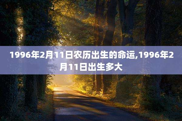 1996年2月11日农历出生的命运,1996年2月11日出生多大