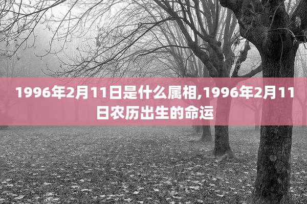 1996年2月11日是什么属相,1996年2月11日农历出生的命运