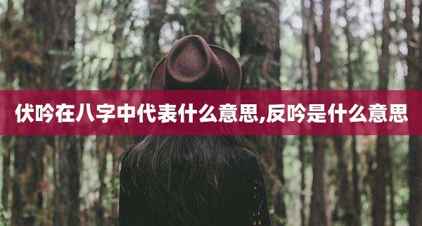 伏吟在八字中代表什么意思,反吟是什么意思
