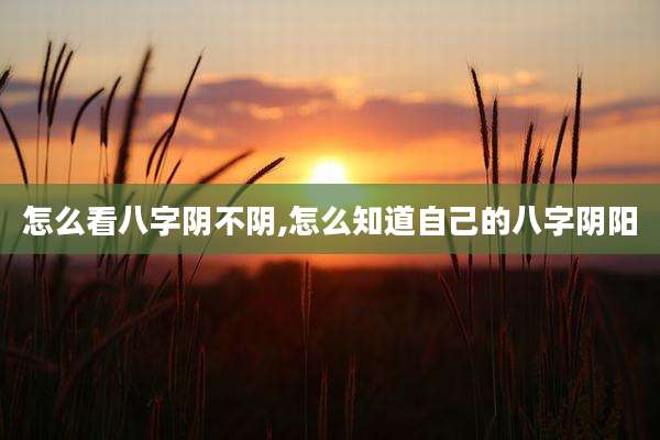 怎么看八字阴不阴,怎么知道自己的八字阴阳