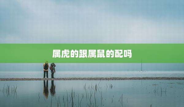 属虎的跟属鼠的配吗