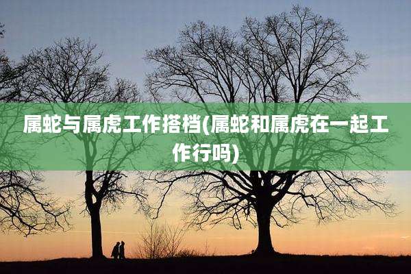 属蛇与属虎工作搭档(属蛇和属虎在一起工作行吗)