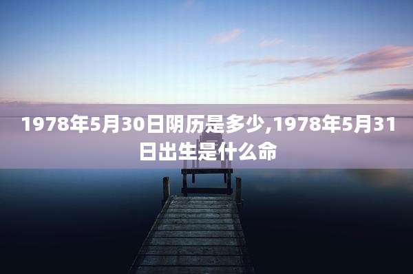 1978年5月30日阴历是多少,1978年5月31日出生是什么命