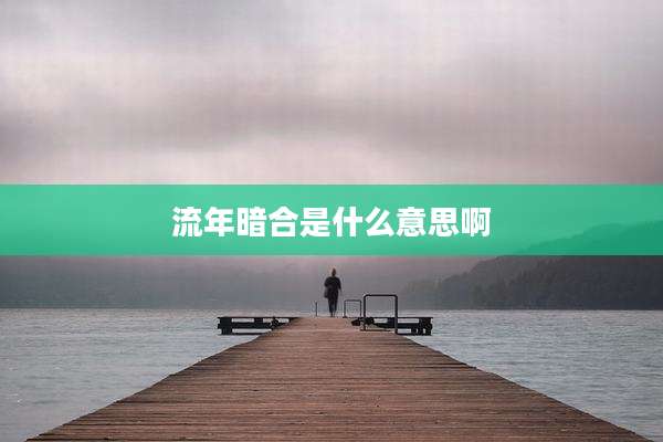 流年暗合是什么意思啊