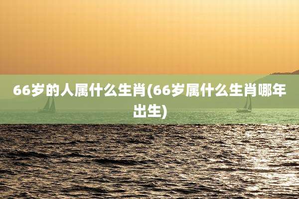 66岁的人属什么生肖(66岁属什么生肖哪年出生)
