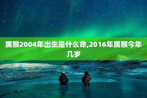 属猴2004年出生是什么命,2016年属猴今年几岁