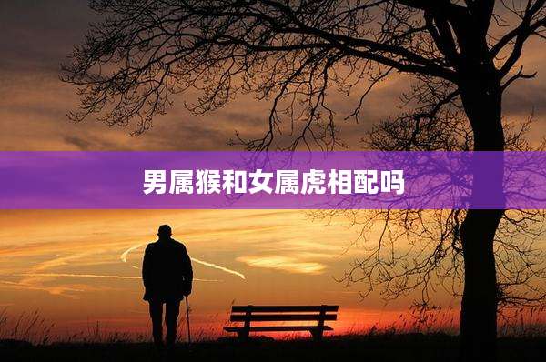 男属猴和女属虎相配吗