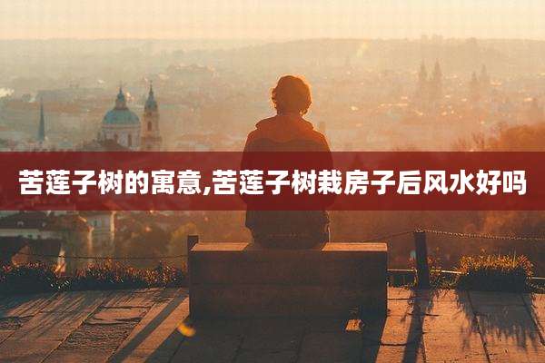 苦莲子树的寓意,苦莲子树栽房子后风水好吗