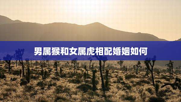 男属猴和女属虎相配婚姻如何