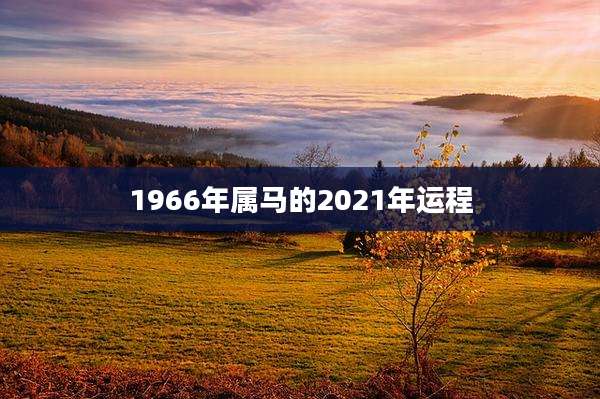 1966年属马的2021年运程