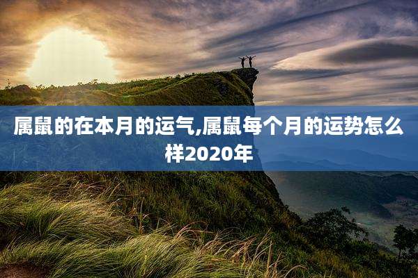属鼠的在本月的运气,属鼠每个月的运势怎么样2020年