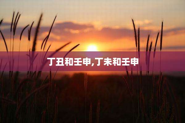 丁丑和壬申,丁未和壬申