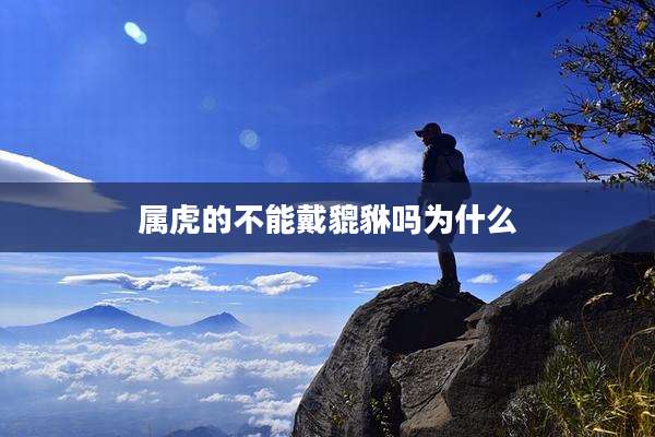 属虎的不能戴貔貅吗为什么