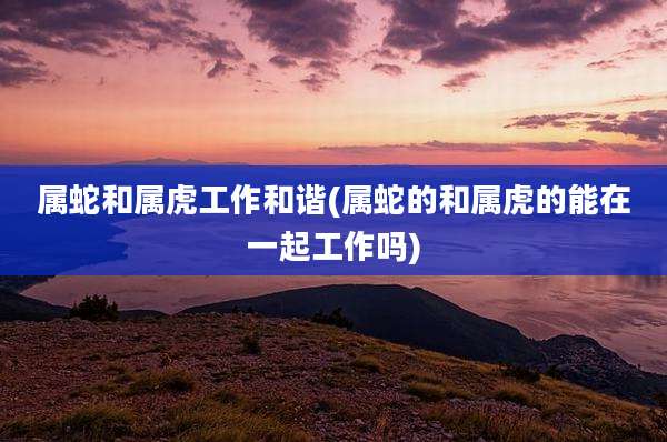 属蛇和属虎工作和谐(属蛇的和属虎的能在一起工作吗)
