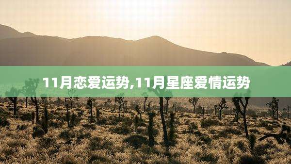 11月恋爱运势,11月星座爱情运势
