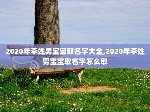 2020年李姓男宝宝取名字大全,2020年李姓男宝宝取名字怎么取