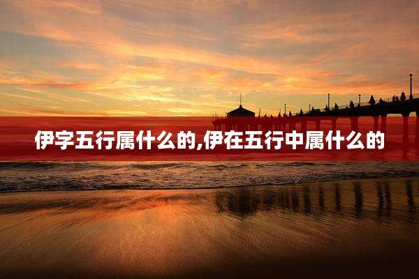 伊字五行属什么的,伊在五行中属什么的