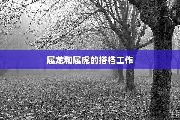 属龙和属虎的搭档工作