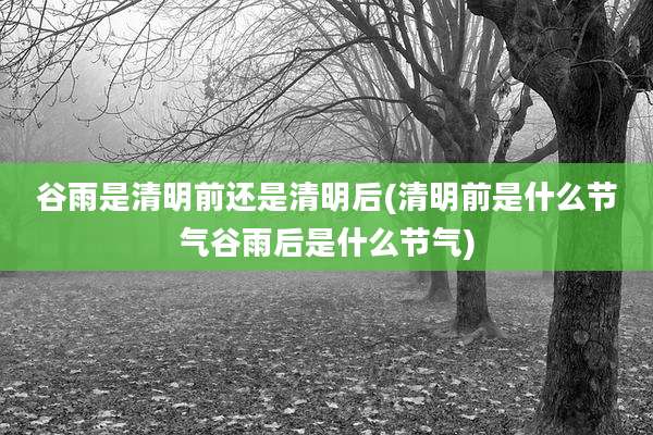谷雨是清明前还是清明后(清明前是什么节气谷雨后是什么节气)