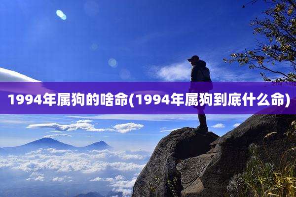 1994年属狗的啥命(1994年属狗到底什么命)