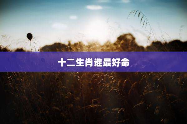 十二生肖谁最好命