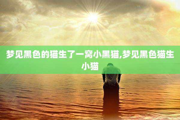 梦见黑色的猫生了一窝小黑猫,梦见黑***生小猫