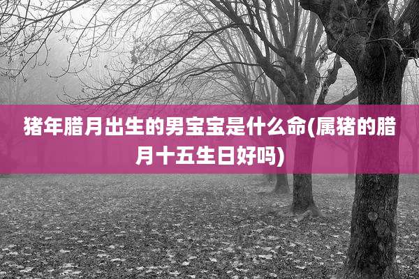 猪年腊月出生的男宝宝是什么命(属猪的腊月十五生日好吗)