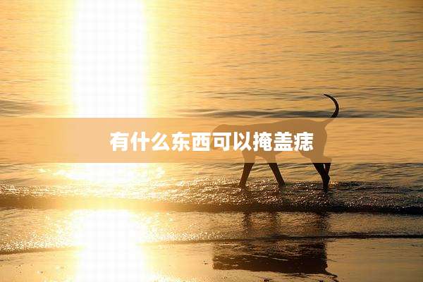 有什么东西可以掩盖痣