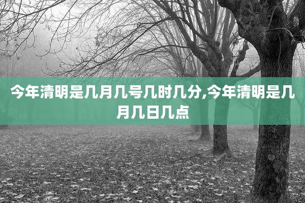 今年清明是几月几号几时几分,今年清明是几月几日几点