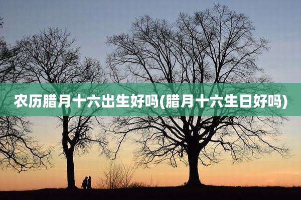 农历腊月十六出生好吗(腊月十六生日好吗)