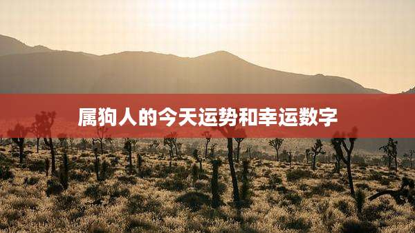 属狗人的今天运势和幸运数字