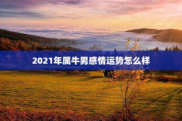 2021年属牛男感情运势怎么样