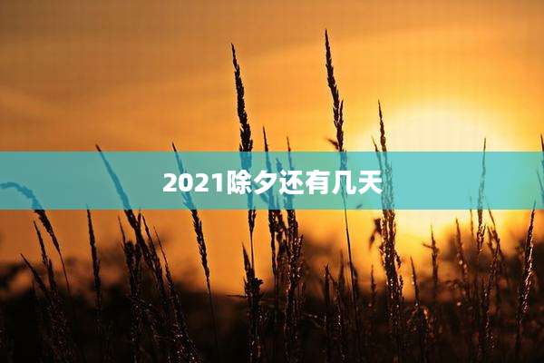 2021除夕还有几天