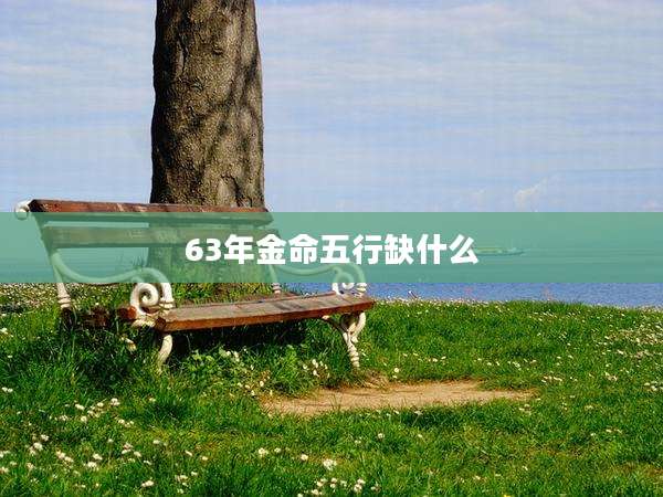 63年金命五行缺什么