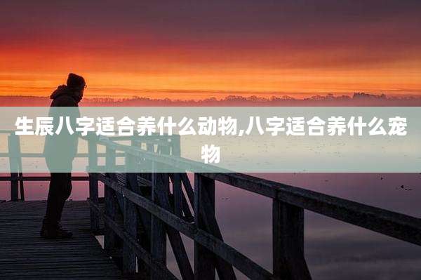 生辰八字适合养什么动物,八字适合养什么宠物