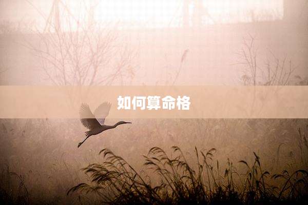 如何算命格