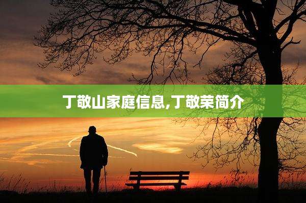 丁敬山家庭信息,丁敬荣简介
