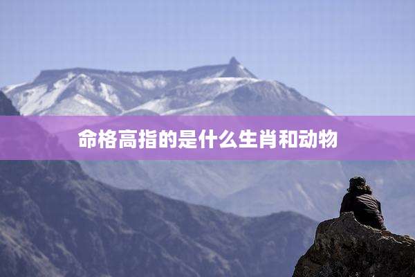 命格高指的是什么生肖和动物