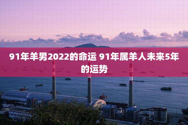 91年羊男2022的命运 91年属羊人未来5年的运势