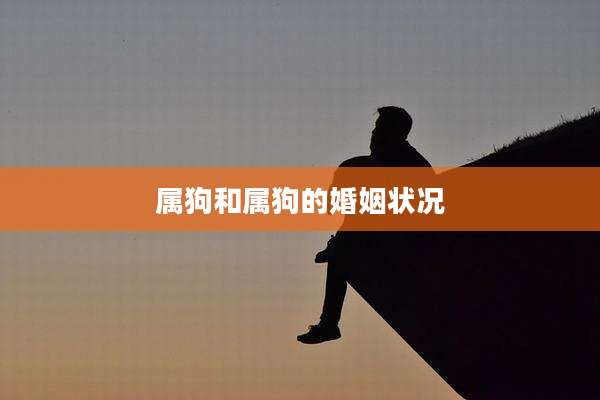 属狗和属狗的婚姻状况
