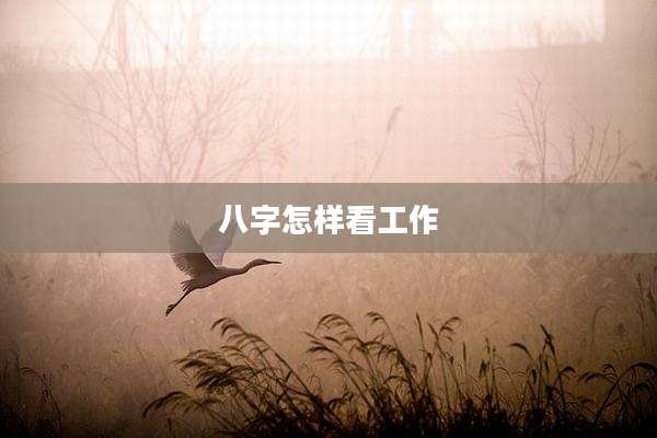 八字怎样看工作
