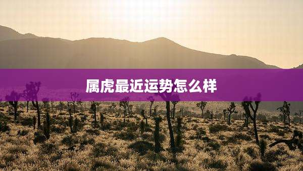 属虎最近运势怎么样