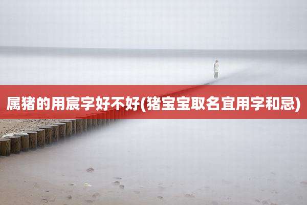 属猪的用宸字好不好(猪宝宝取名宜用字和忌)