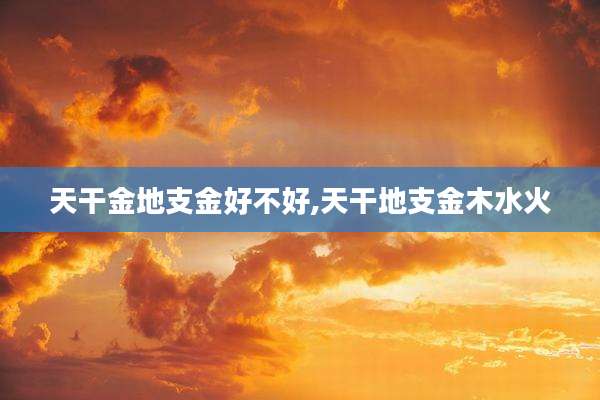 天干金地支金好不好,天干地支金木水火