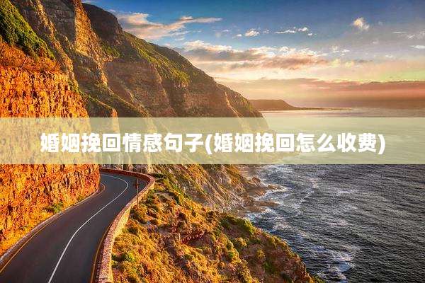 婚姻挽回情感句子(婚姻挽回怎么收费)