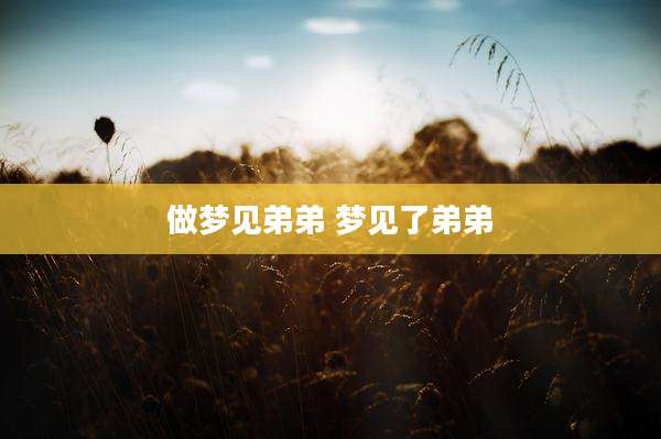 做梦见弟弟 梦见了弟弟