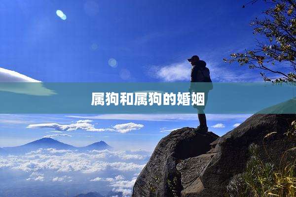 属狗和属狗的婚姻