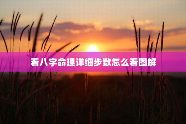 看八字命理详细步数怎么看图解