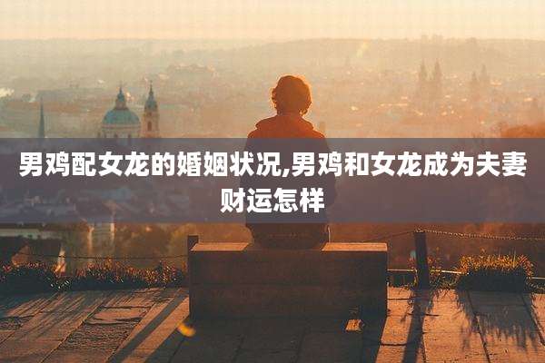 男鸡配女龙的婚姻状况,男鸡和女龙成为夫妻财运怎样