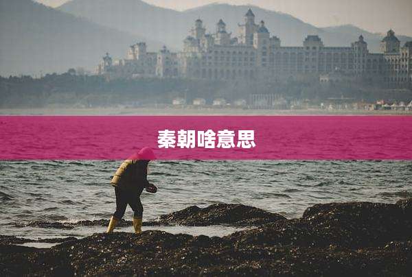秦朝啥意思